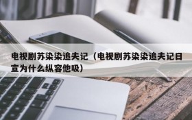 电视剧苏染染追夫记（电视剧苏染染追夫记日宣为什么纵容他吸）